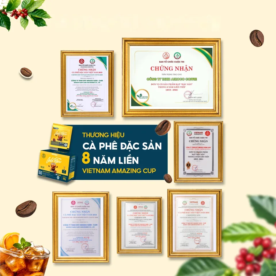 Chứng nhận cà phê đặc sản Việt Nam qua các năm của Aeroco Coffee